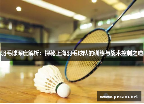 羽毛球深度解析：探秘上海羽毛球队的训练与战术控制之道