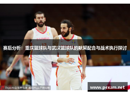 赛后分析：重庆篮球队与武汉篮球队的默契配合与战术执行探讨