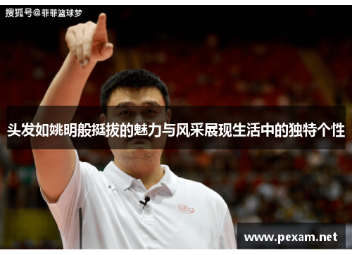 头发如姚明般挺拔的魅力与风采展现生活中的独特个性
