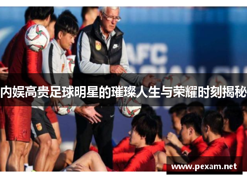 内娱高贵足球明星的璀璨人生与荣耀时刻揭秘