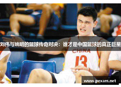 刘伟与姚明的篮球传奇对决：谁才是中国篮球的真正巨星
