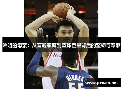 姚明的母亲：从普通家庭到篮球巨星背后的坚韧与奉献