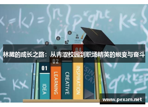 林葳的成长之路：从青涩校园到职场精英的蜕变与奋斗