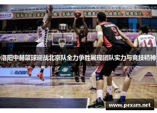 洛阳中赫篮球迎战北京队全力争胜展现团队实力与竞技精神